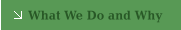 What We Do and Why